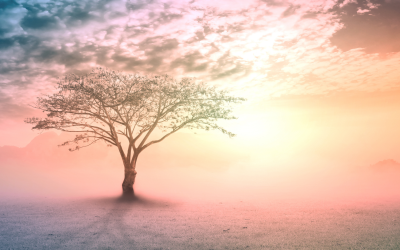 Nuestro cuerpo, una mirada holística