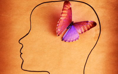 ¿Cómo funciona la mente?